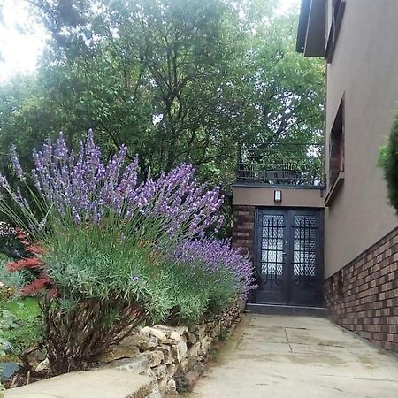 Apartman V Zahrade Praha Troja - Apartment In The Garden Prague Troja 외부 사진